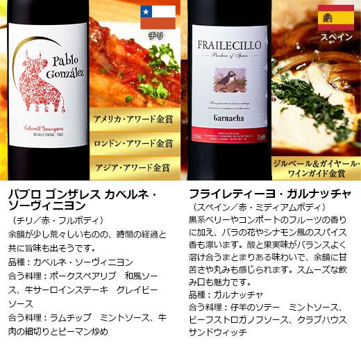ワイン ワインセット 赤ワイン 【特別送料無料】3大銘醸地入り ワイン ワインセット 赤ワイン 【特別送料無料】3大銘醸地入り