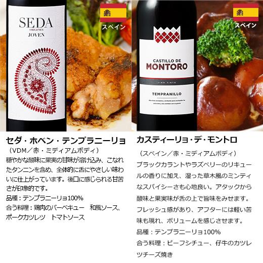 ワイン ワインセット 赤ワイン 【特別送料無料】3大銘醸地入り!世界選りすぐり赤ワイン11本セット 第241弾｜mywine｜14