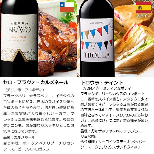 ワイン ワインセット 赤ワイン 【特別送料無料】3大銘醸地入り!世界選りすぐり赤ワイン11本セット 第241弾｜mywine｜15