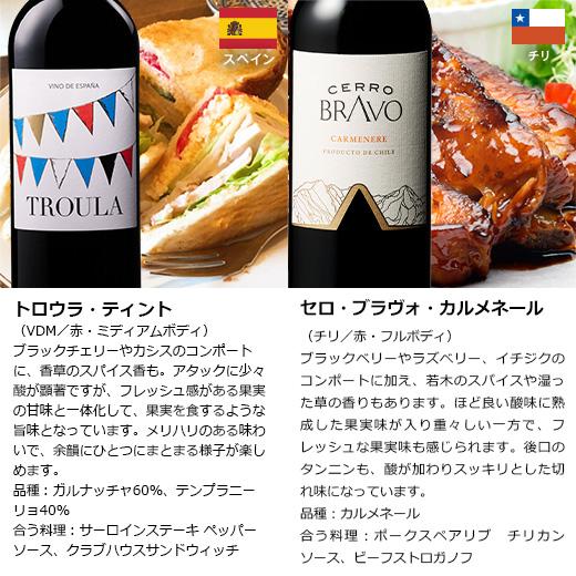 ワイン ワインセット 赤ワイン 【特別送料無料】3大銘醸地入り!世界選りすぐり赤ワイン11本セット 第244弾｜mywine｜15