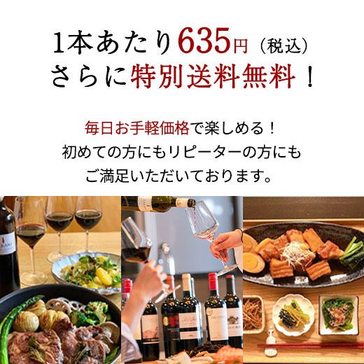 ワイン11本セット　まとめ売り ワイン ワインセット 赤ワイン 赤ワインセット 【特別送料無料】3大銘