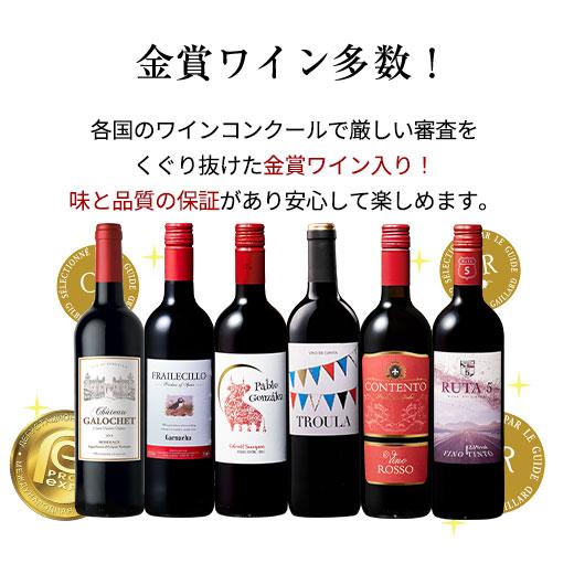 ワイン ワインセット 赤ワイン 【特別送料無料】3大銘醸地入り ワイン ワインセット 赤ワイン 【特別送料無料】3大銘醸地入り