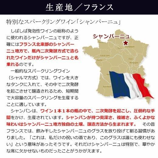 ワイン スパークリングワインセット 金賞 高級辛口シャンパーニュ飲み比べ豪華5本セット 第7弾 送料無料 シャンパン ブリュット｜mywine｜02