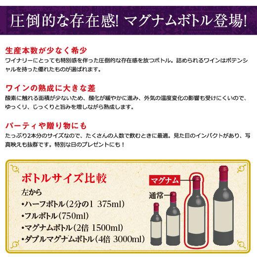 ワイン ワインセット 赤ワイン ワインの王バローロとキャンティ