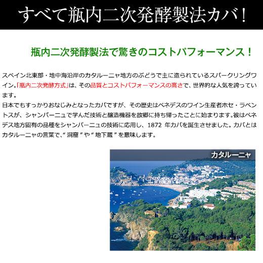 ワイン スパークリングワインセット すべてカバ!すべて辛口!すべて金賞!瓶内二次発酵製法スパークリングワイン9本セット 第2弾 送料無料｜mywine｜05