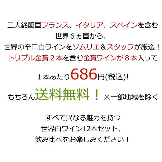 ワイン 白ワインセット 【51％OFF】 三大銘醸地＆金賞入り!世界の辛口白ワイン12本セット 第42弾 送料無料｜mywine｜03