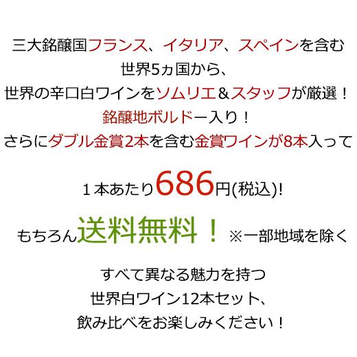 ワイン 白ワインセット 【51％OFF】 三大銘醸地＆金賞入り!世界の辛口白ワイン12本セット 第44弾 送料無料｜mywine｜03