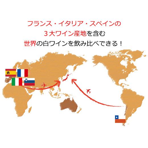 ワイン 白ワインセット 【51％OFF】 三大銘醸地＆金賞入り!世界の辛口白ワイン12本セット 第44弾 送料無料｜mywine｜04