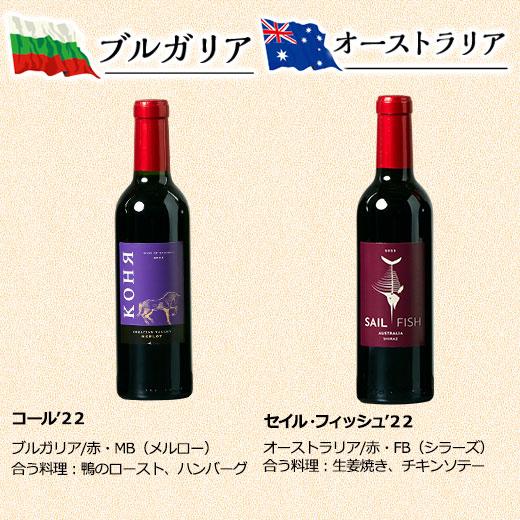 ワイン ワインセット 世界11ヵ国!ハーフボトル赤白24本セット 送料無料