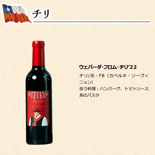 ワイン ワインセット 世界のワイン!ハーフボトル赤白24本セット  送料無料｜mywine｜14