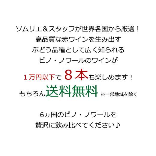 ワイン ワインセット 赤ワイン 40％OFF ブルゴーニュ＆トリプル金賞入り!世界のピノ・ノワール飲み比べ8本セット 第21弾  フルボディ 送料無料｜mywine｜03