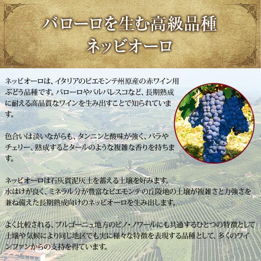 ワイン 赤ワインセット 47％OFF 金賞入り!イタリアワインの王様