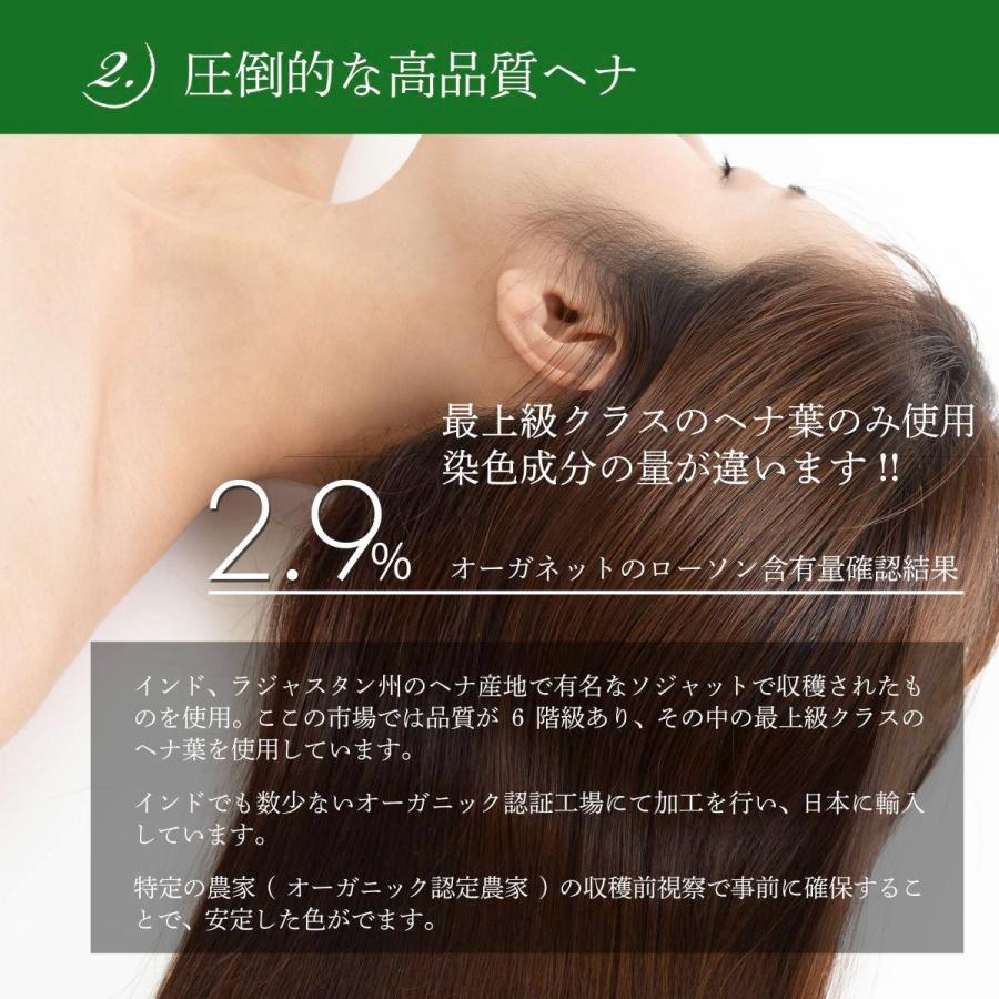 ヘナ 白髪染め オーガネット ティブラウン 100g オーガニック ヘナ 白髪染め オーガネット ティブラウン 100g オーガニック