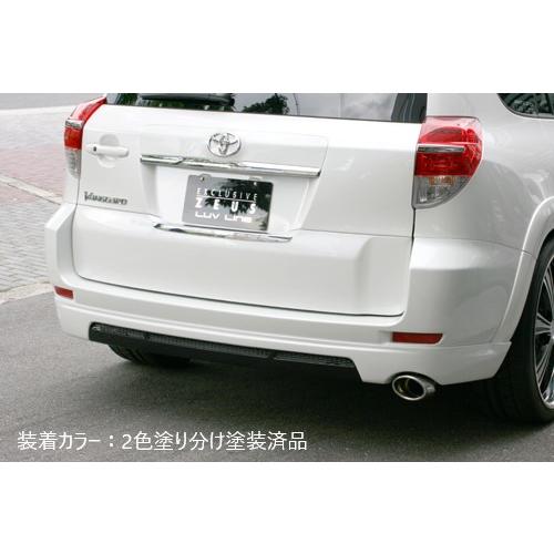 M'z SPEED 【2色塗り分け塗装済品】[ヴァンガード 350S 240S 後期