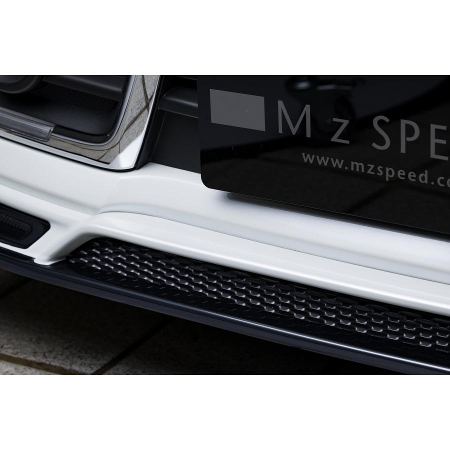 M'z SPEED 【単色塗装済品】[MK53Sスペーシアカスタム]グレースライン