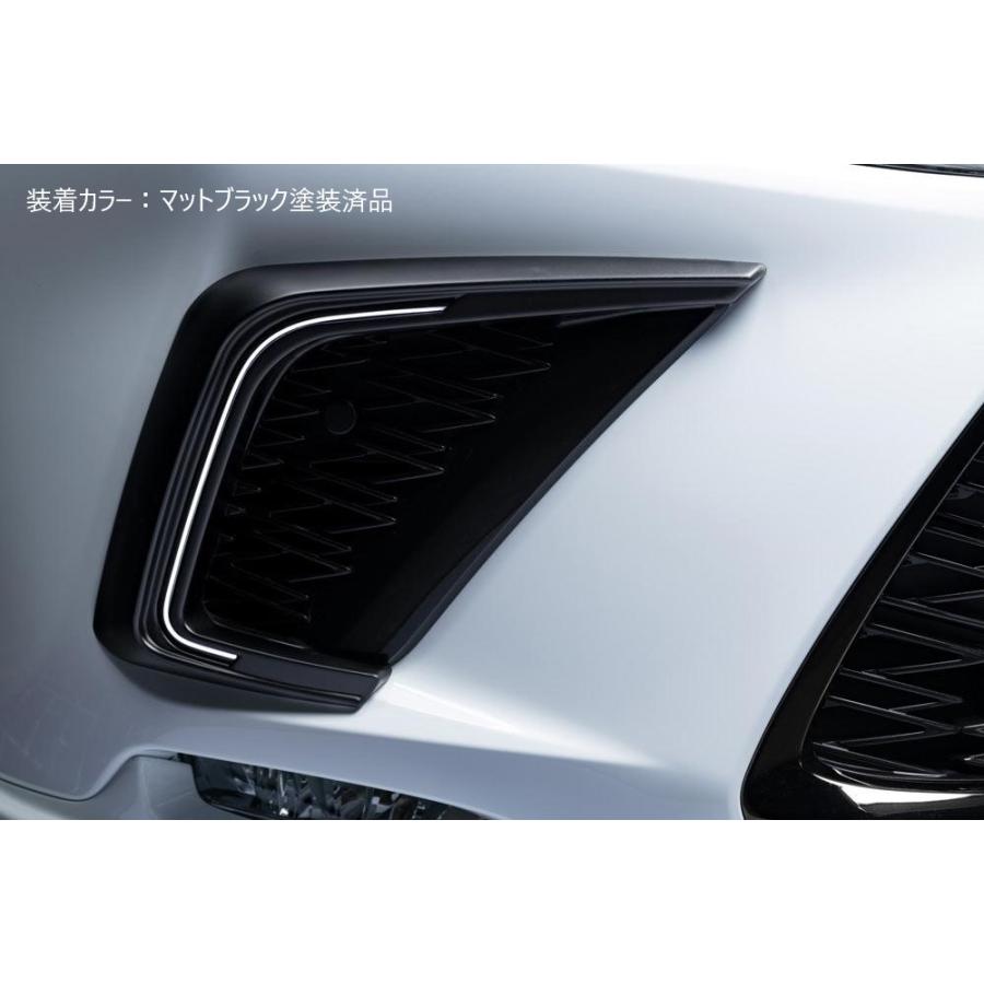 M'z SPEED 【マットブラック塗装済品】[10系 NX300 NX300h 後期