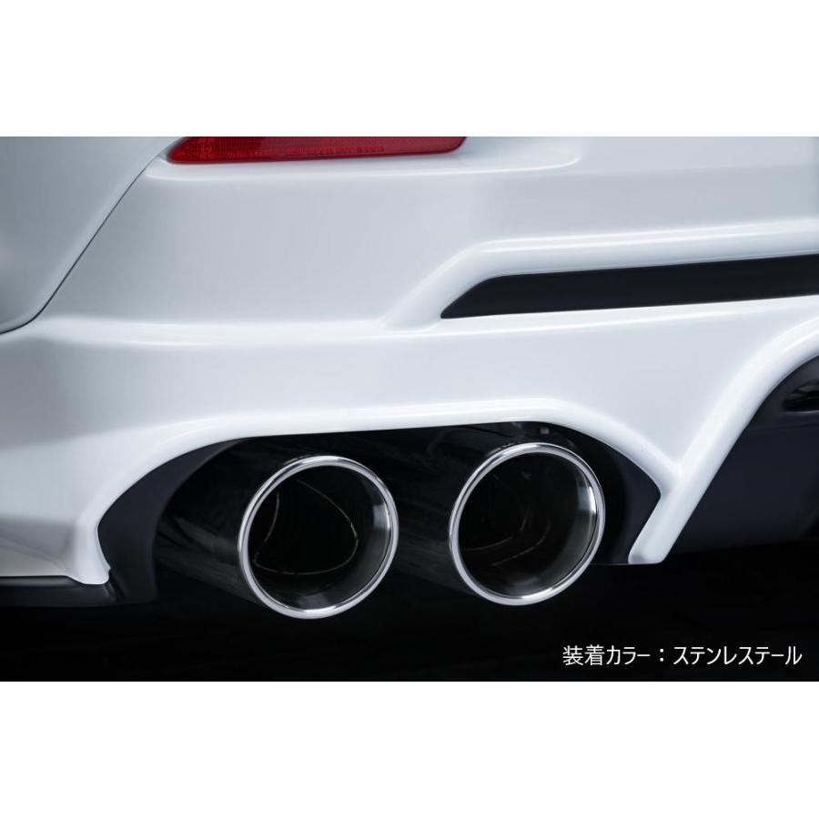 M'z SPEED 【マフラー】[レクサス 10系 NX300 NX300h 後期