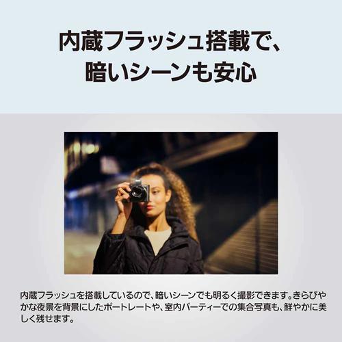 LUMIX TXシリーズ 【今なら5年延長保証加入が無料】DC-TX3-S