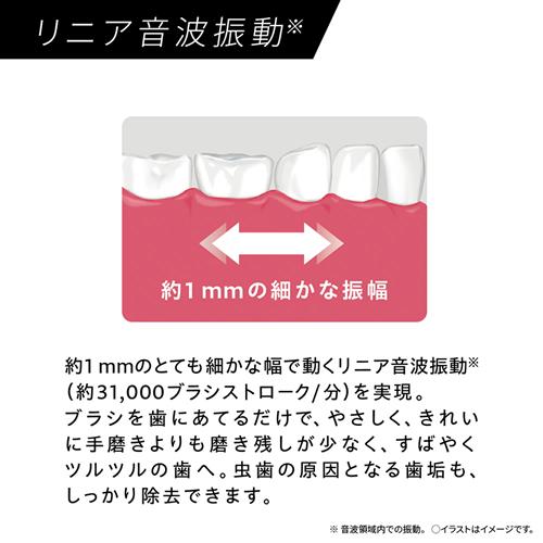 Doltz EW-DA18-W パナソニック 電動歯ブラシ ホワイト 白 音波