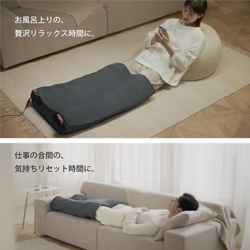 ビカクシダ セット OMG マダガスカリエンセ リドレイドワーフ など