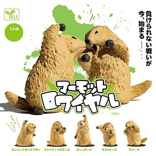 H-4580800214037 エール マーモットロワイヤル 10個入りBOX : 日本橋