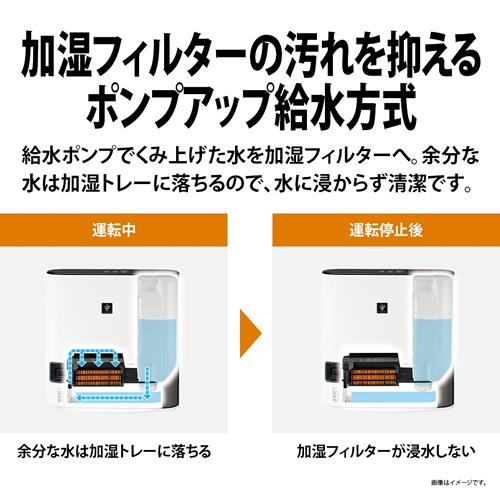 プラズマクラスター HX-TK12-W シャープ プラズマクラスター加湿