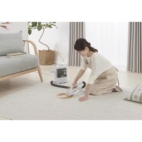 IRIS OHYAMA RNS-300 カーペットクリーナー IRIS OHYAMA（アイリスオーヤマ） RNS-300 リンサークリーナー グレー