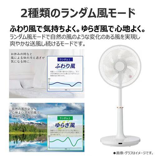 TOSHIBA（東芝） TF-30DL28-W DCリビング扇風機 ホワイト 7枚羽根 静音