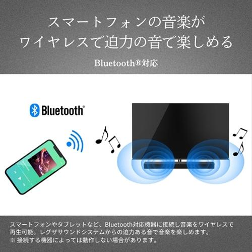REGZA（レグザ） TS3100Q 東芝 3.1ch レグザサウンドシステム TVS
