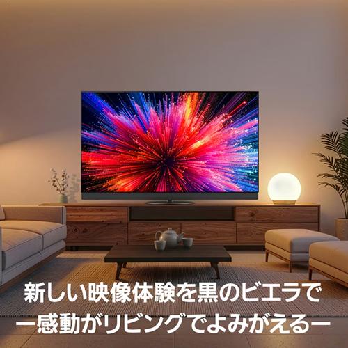 【今なら5年延長保証加入が無料】TV-65Z95C パナソニック 65V型 4K有機ELテレビ VIERA（ビエラ） BS・CS 4Kチューナー内蔵 firetv搭載_16