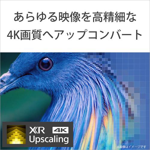 BRAVIA XRJ-55A80L ソニー 55V型 4K有機ELテレビ ブラビア A80L