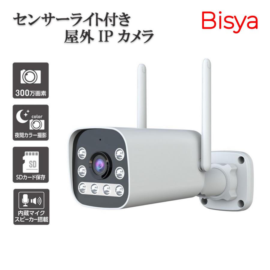 高画質・防水】Bisya 夜間対応 屋外設置 300万画素 防犯カメラ AI動体