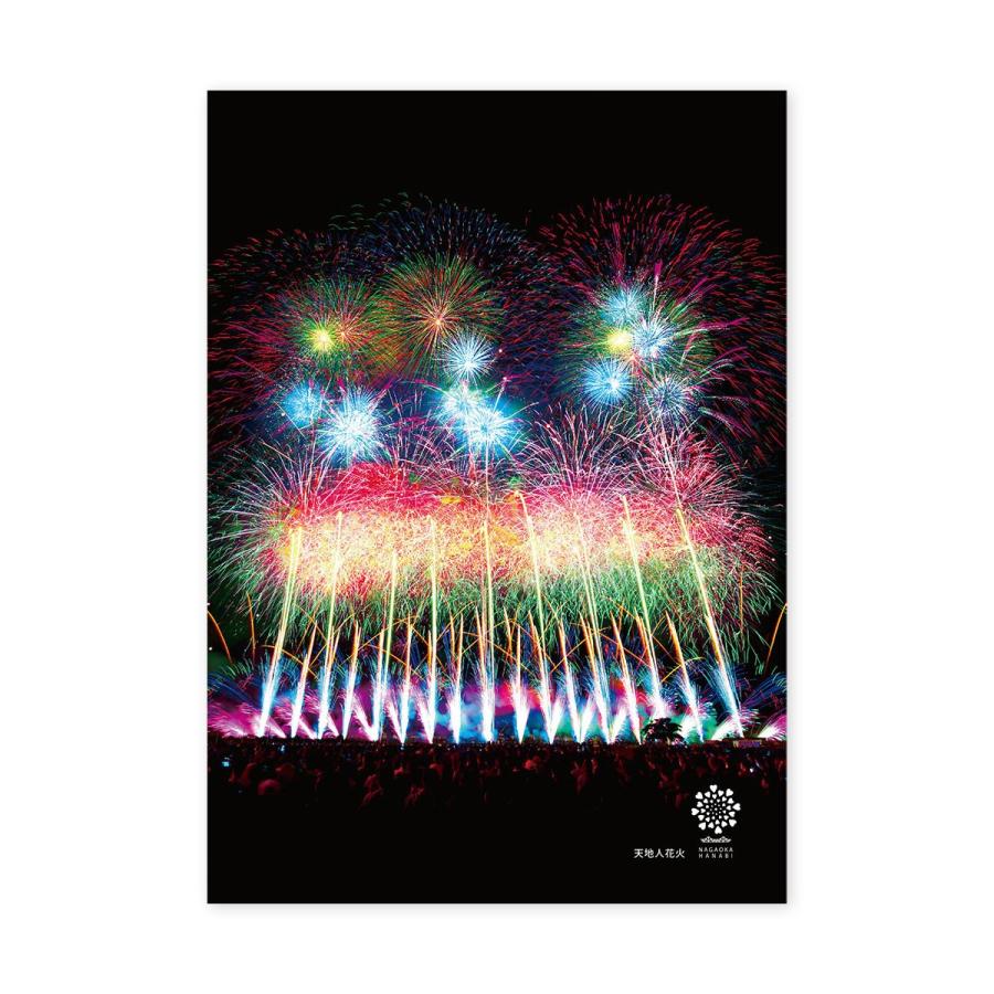 長岡花火 アートプリント 2L(フレーム付)天地人花火 写真 アート