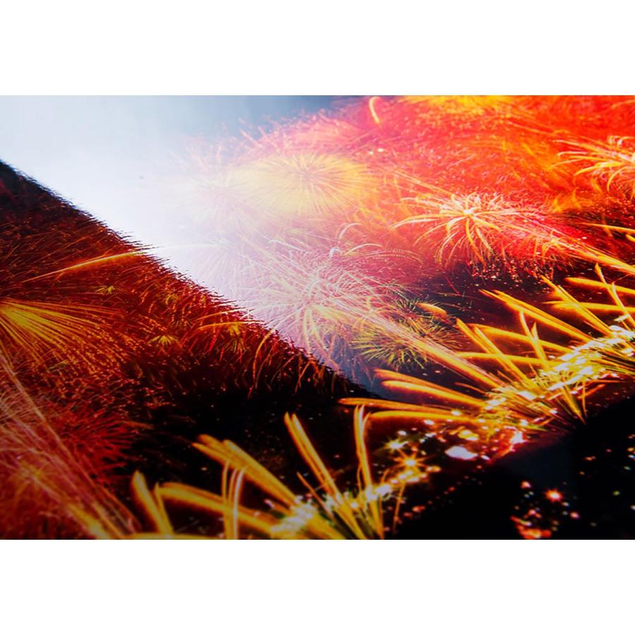 長岡花火 プレミアムポスター B2 復興祈願花火フェニックス 写真