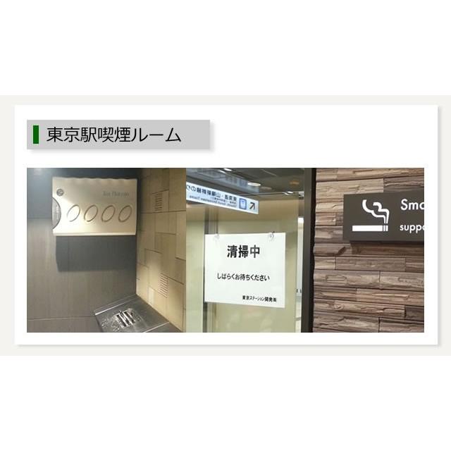 バイオミクロン 空気清浄機 タバコ専用に 強力脱臭 喫煙室にも バイオミクロン 空気清浄機 タバコ専用に 強力脱臭 喫煙室にも