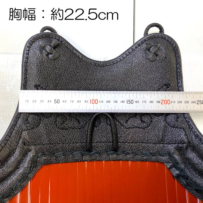 剣道具 剣道防具 単品 胴 翼飾 溜石目胴 50本型強化樹脂 二本足 堅紐付  