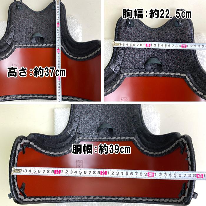 剣道具 剣道防具 単品 胴 本雲S字 飾 胸 紅梨地塗 変わり塗 二本足