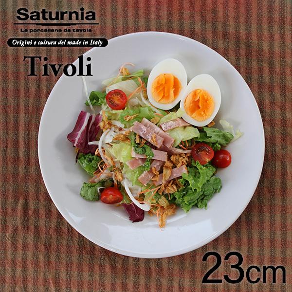サタルニア チボリ ディナープレート（23cm×高3.5cm）Saturnia Tivoli イタリアン CODE:69301001、L-6()))｜n-kitchen