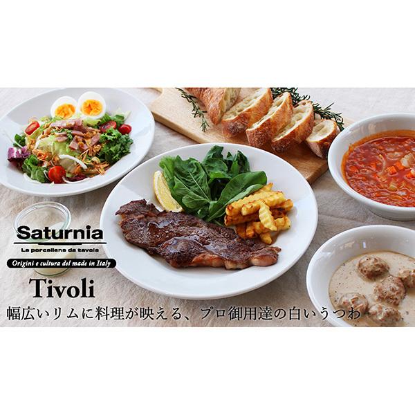 サタルニア チボリ ディナープレート（23cm×高3.5cm）Saturnia Tivoli イタリアン CODE:69301001、L-6()))｜n-kitchen｜06