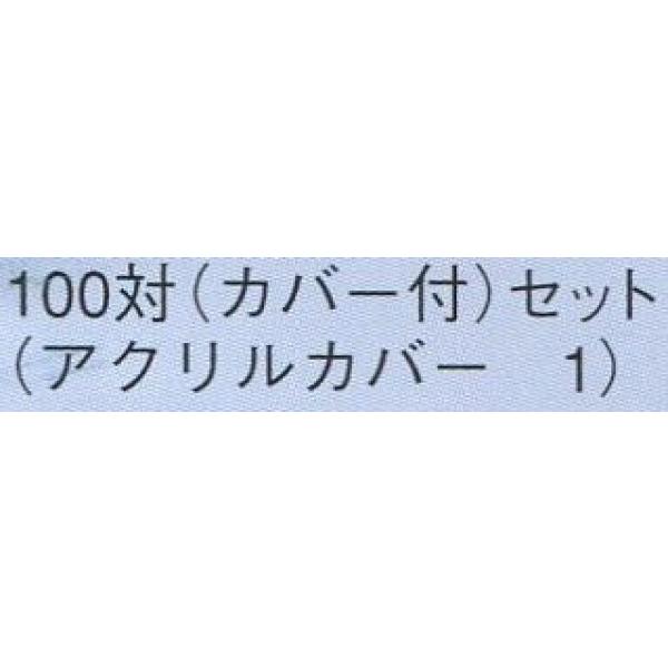 ＢＩＸ　１００対（カバー付）セット