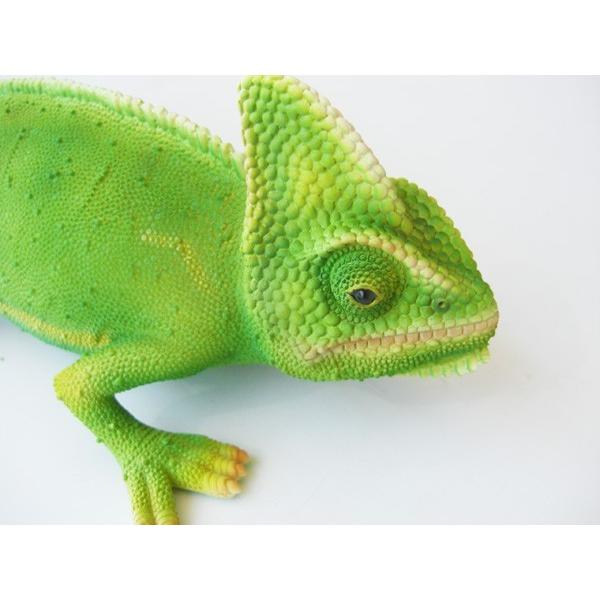 カメレオン 置物 リアル ペットバンク Pet Bank グリーン : インテリア