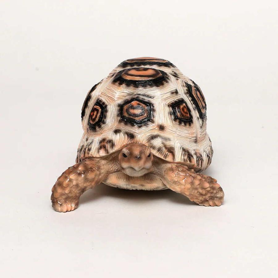 カメ 置物 ペットバンク レオパード トータス Pet Bank Leopard