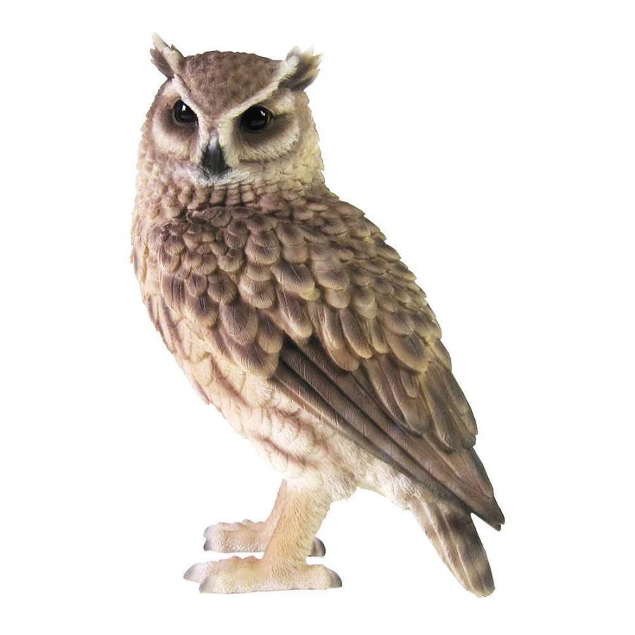 フクロウ 置物 リアル ペットバンク Pet Bank Long eared Owl