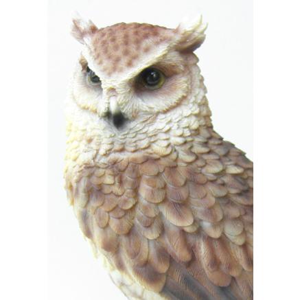 フクロウ 置物 リアル ペットバンク Pet Bank Long eared Owl