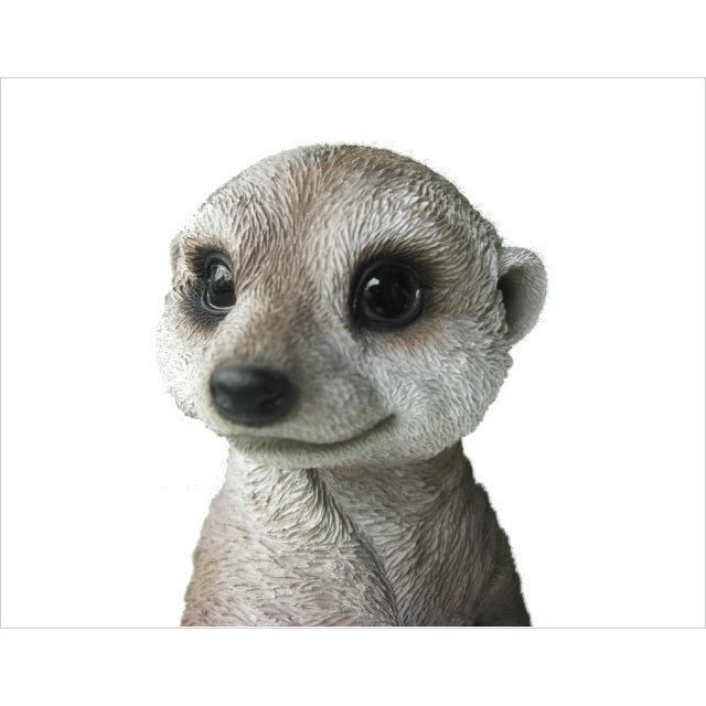 ミーアキャット 置物 ペットバンク Pet Bank Meerkat : インテリア