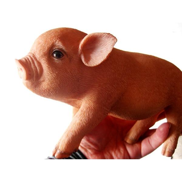 ブタ 豚 貯金箱 雑貨 ペットバンク Pet Bank ピッグ ピンク ぶた 貯金箱 雑貨 置物 Pet Bank Pig Pk インテリアショップnorthern Line 通販 Yahoo ショッピング