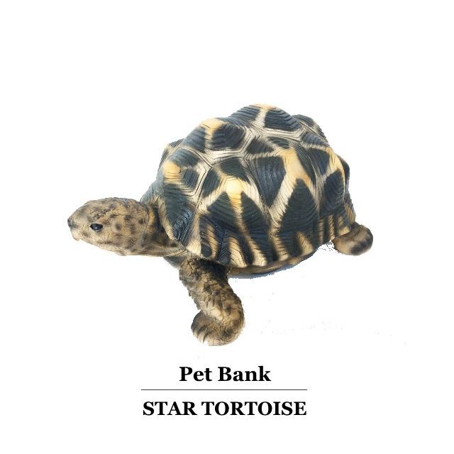 亀 ホシガメ 置物 ペットバンク スタートータス Pet Bank Star