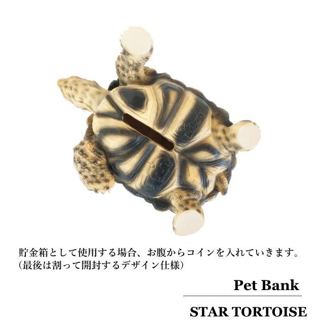 置物 縁起物 動物 ペット ガジェット BESS 亀 亀 ホシガメ 置物 ペットバンク スタートータス Pet Bank Star