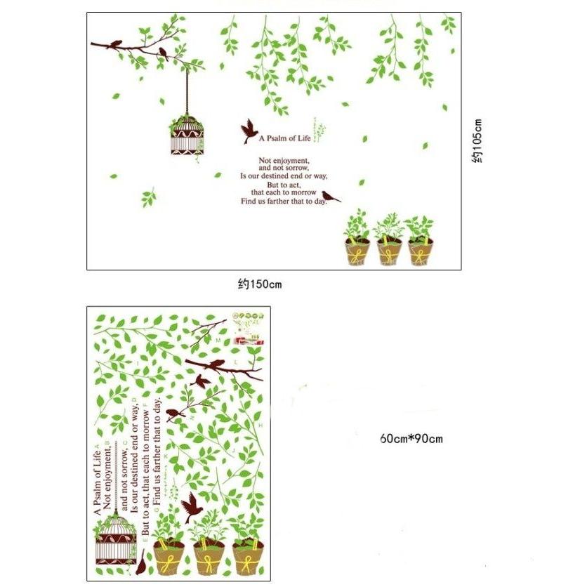 ウォールステッカー グリーンリーフと鳥かご 鉢植え 小鳥 壁シール 自然 英文字 バードケージ 送料無料｜n-m｜05