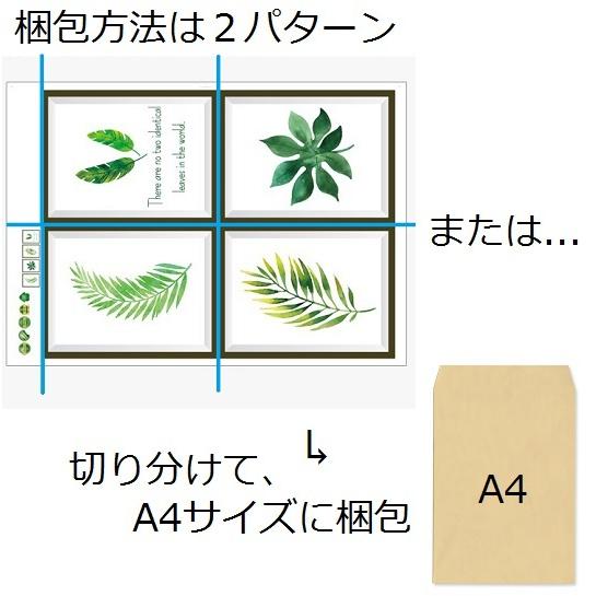 ウォールステッカー 南国風 植物の葉 ボタニカル 写真枠 壁紙シール ハワイアン ヤシの葉 ヤツデ 緑 送料無料｜n-m｜07